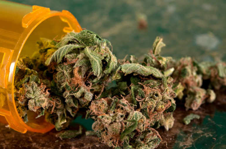 Cannabis: conséquences pour la santé et possibles usages à des fins médicales