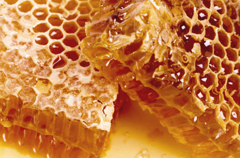 Du miel pour lutter contre la résistance aux antibiotiques?