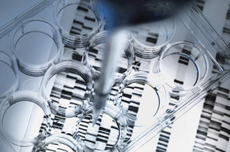 Un enfant, trois ADN