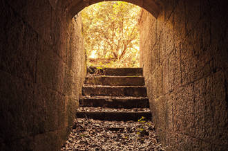 Quelle réalité dans les expériences de mort imminente?