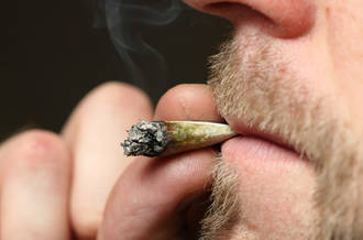 Le cerveau bloquerait certains effets du cannabis