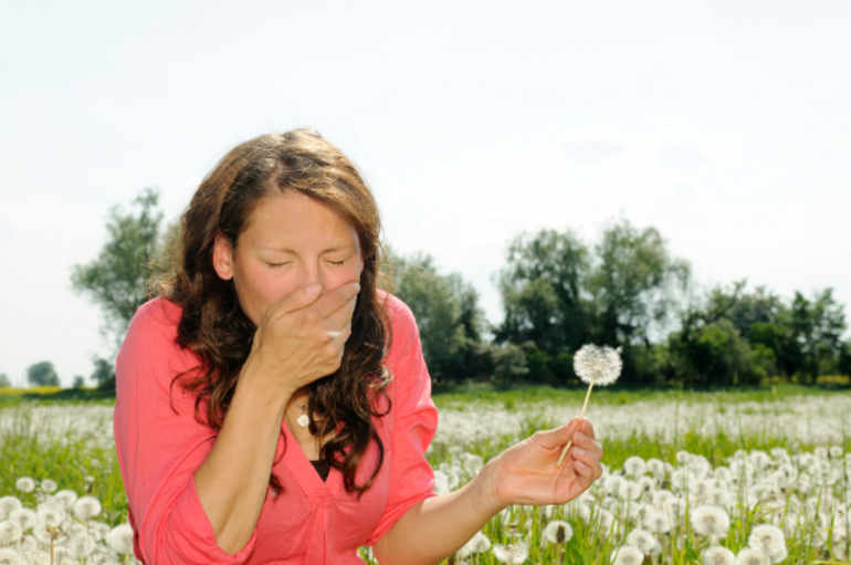 Allergies au pollen: de quelles plantes faut-il se méfier?
