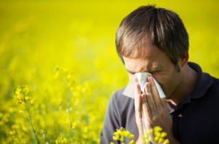 Peut-on empêcher les allergies de réapparaître à la trentaine?