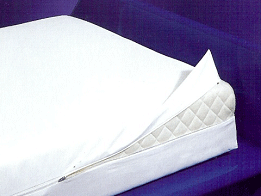 Matelas illustrant les nids d'acariens