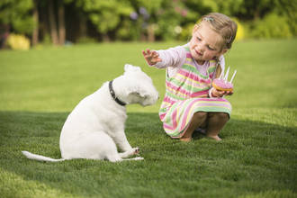 Mon enfant a été mordu
