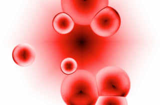 cellules sanguines