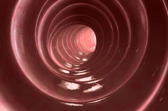 Intérieur du côlon