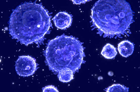 Mobiliser le système immunitaire pour lutter contre le cancer