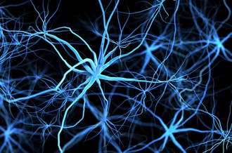 Le dépistage est un élément clé de la lutte contre les cancers