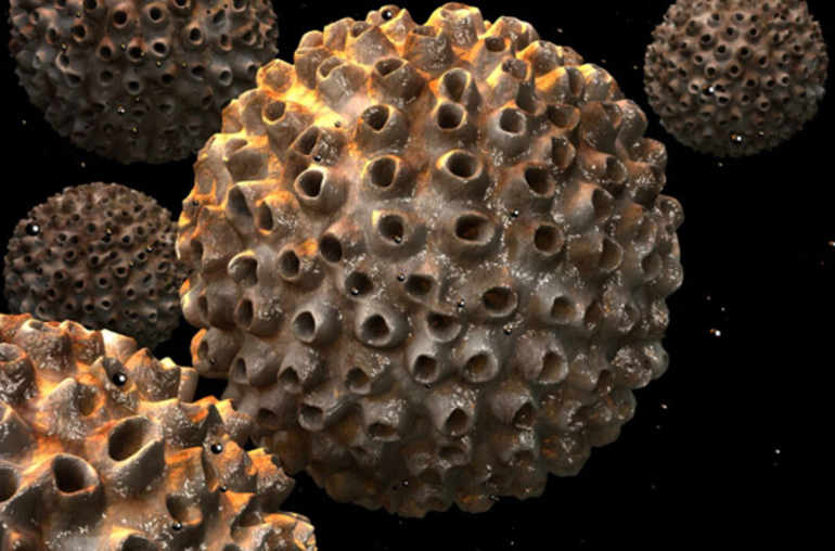 papillomavirus niveau 1 cancerul nucului
