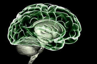 Qu’est-ce que la dopamine?