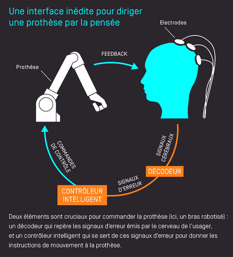 Diriger une prothèse par la pensée