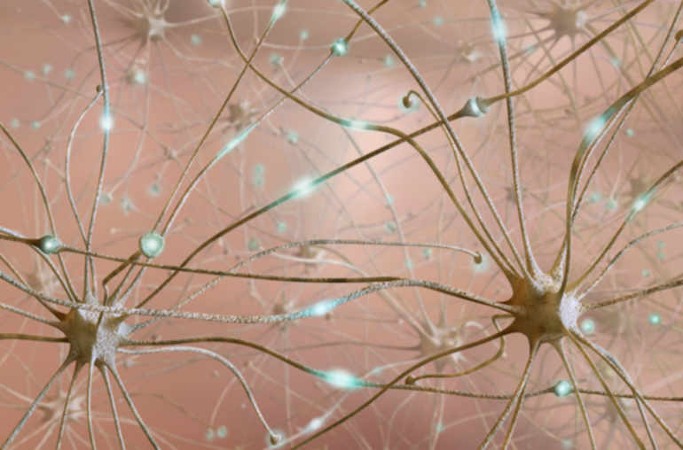 Sclérose en plaques: protéger les neurones