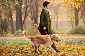 Deux mille pas (de plus) chaque jour protègent cœur et vaisseaux