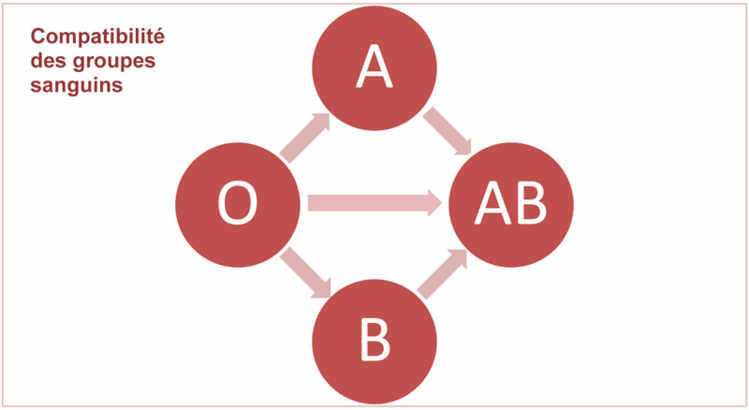Diagramme Sanguin Diagramme Sanguin
