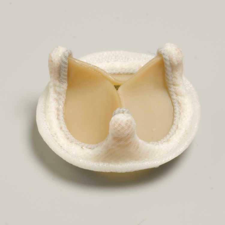 Prothèse valvulaire biologique