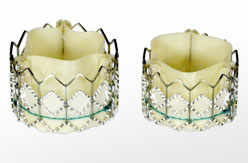 photo d'une valve transapicale