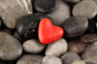 Une polypill pour prévenir les maladies cardiovasculaires