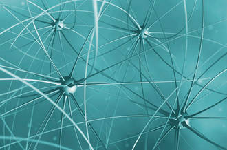 Les mécanismes de la dépression