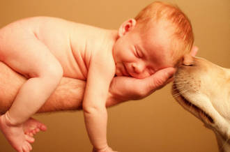 Bébé et museau de chien