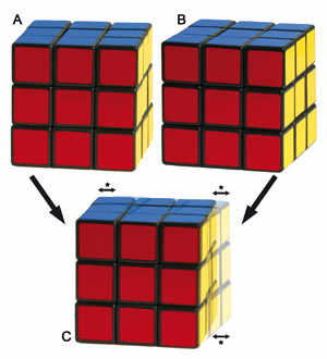 Comment fonctionnent la stéréopsie et la technologie 3D