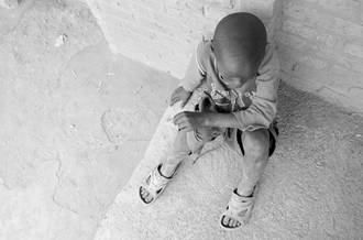 Nouvelles lumières sur la «malédiction noma»