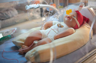 L’incubateur est un véritable concentré de technologie