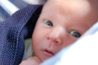 tête de nourrisson