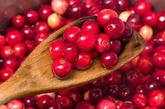 Les cranberries sont impuissantes contre les cystites