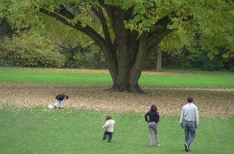 La génétique aide à tracer l’arbre généalogique