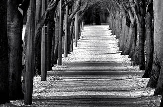 Chemin en hivers