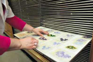 La bibliothèque du laboratoire de psychopathologie morphologique des HUG compte quelque 200 000 prélèvements