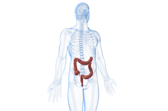 Je vais passer une coloscopie