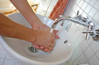 Gastroentérites à norovirus: portraits de virus en pleine expansion