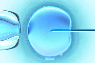 Fécondation in vitro