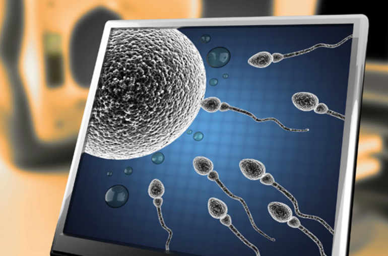 Les spermatozoïdes in vitro sont-ils une solution à l’infertilité?