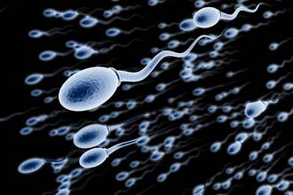 Le spermogramme permet de mesurer la mobilité, la concentration et la morphologie des spermatozoïdes