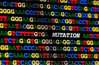 Mutation de l'ADN