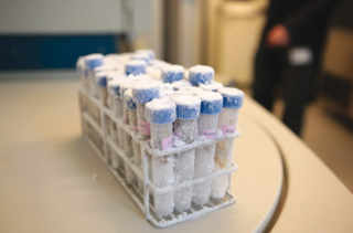Conservés au congélateur, des échantillons de selles attendent le séquençage