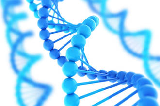 Pourquoi des brevets sur le vivant?