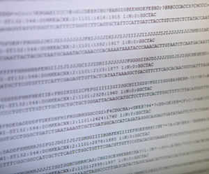 Avec un spectromètre, la qualité de l’ADN extrait est mesurée