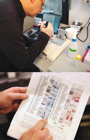 Après le séquençage, les chercheurs reçoivent un fichier brut de l’ADN séquencé. Dans des tableaux, ils indiquent comment varie la population de bactéries de différents échantillons