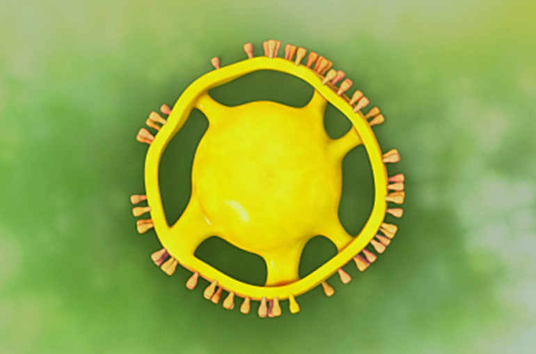 Sept questions sur le nouveau coronavirus