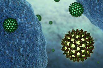 Hépatite C: l’espoir de nouveaux traitements