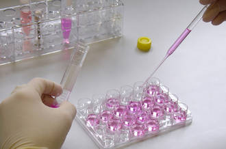 L’avenir des traitements cellulaires