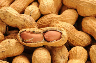 Allergies  à l’arachide: deux traitements en vue