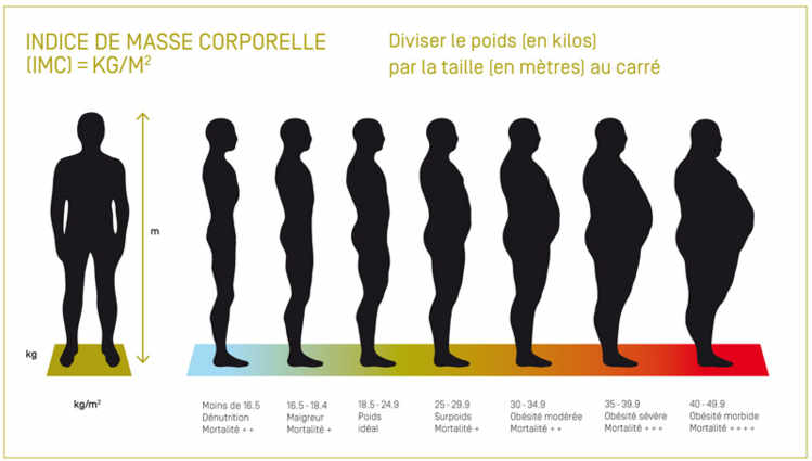 Indice de masse corporelle