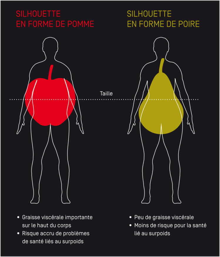 Silhouette en forme de pomme – Silhouette en forme de poire