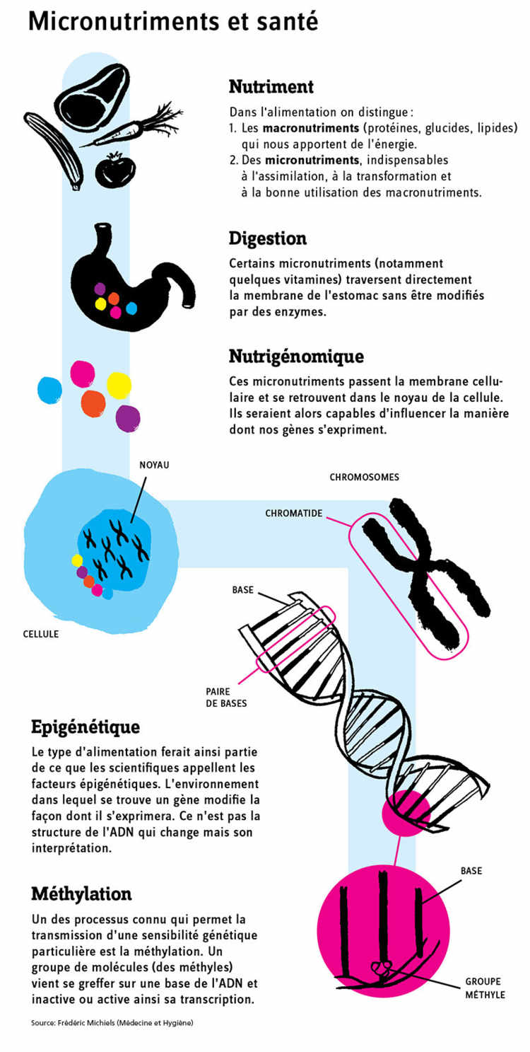 Micronutriments et santé