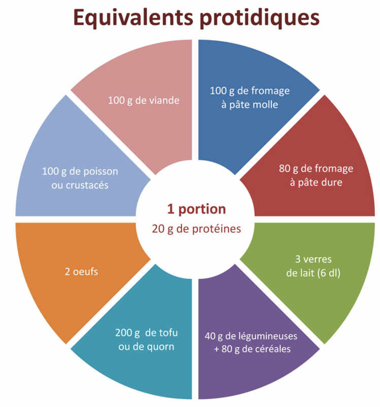 Equivalents protidiques